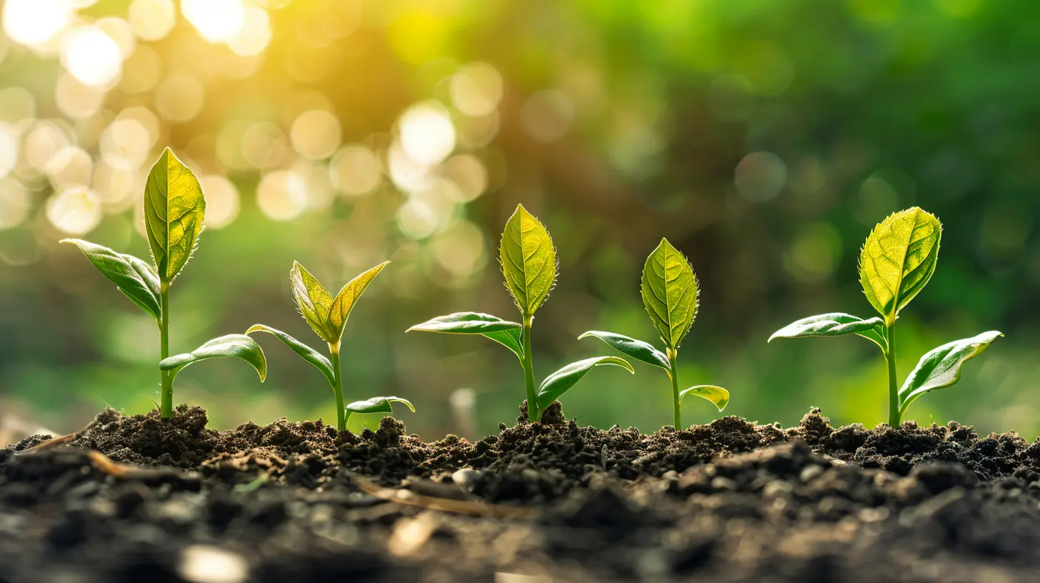From Seed to Series B: Navigating the VC Funding Stages