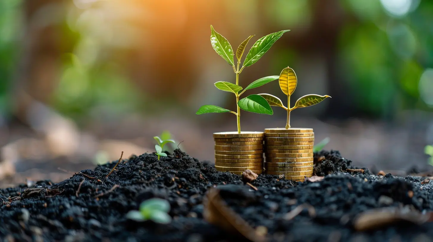 From Seed to Series B: Navigating the VC Funding Stages
