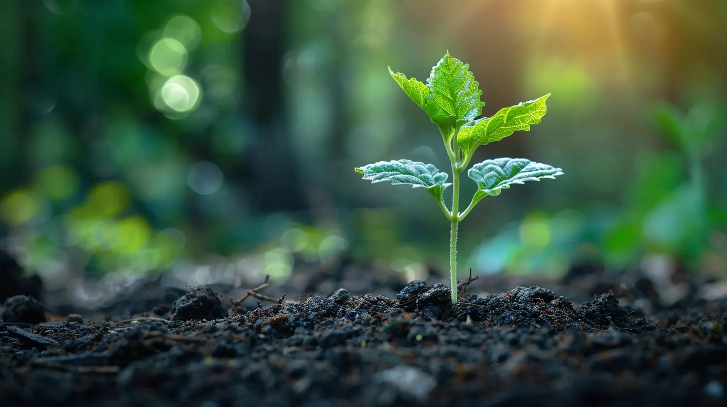 How Startup Valuations Are Determined in Venture Capital Deals