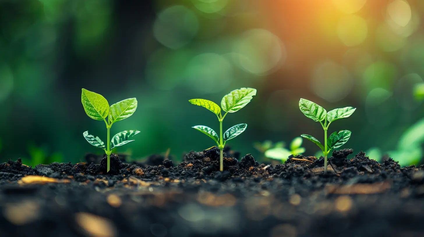 How to Build a Resilient Startup Culture to Attract Investors