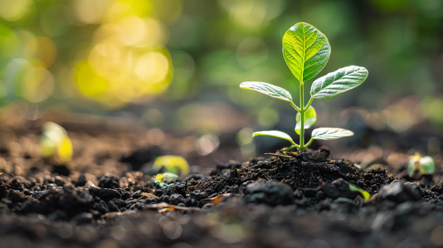 How to Measure the Success of a Venture Capital Partnership