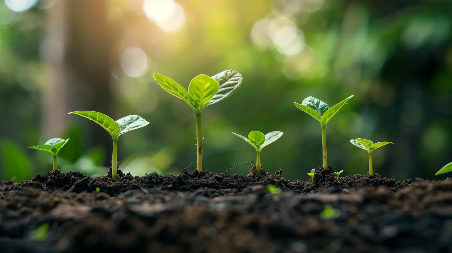 Scaling Up: When and How to Grow Your Startup