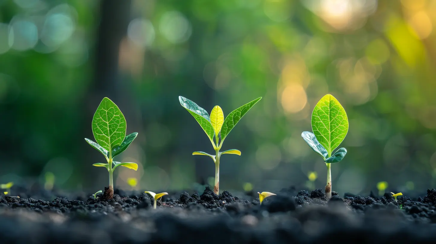 The Investor Perspective: What They Look for in Startups