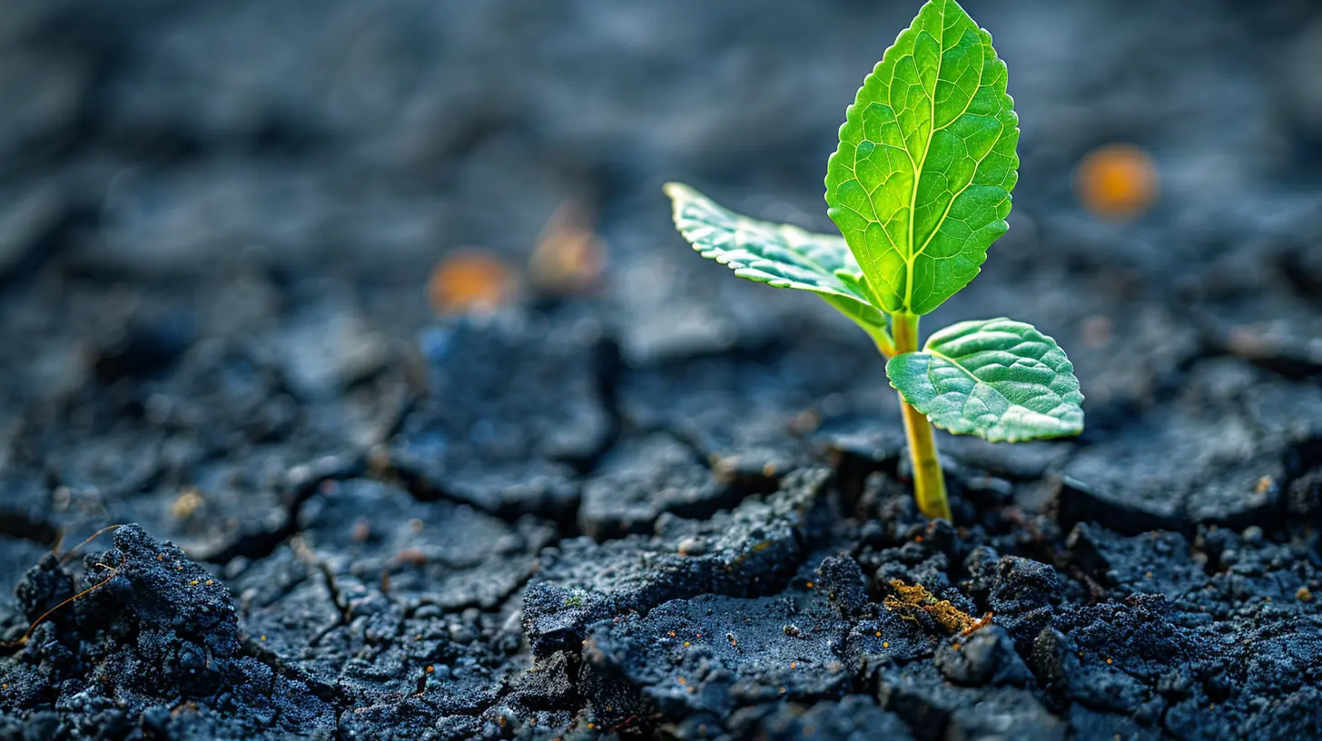 The Rise of Impact Investing: Why VCs Care About Social Responsibility