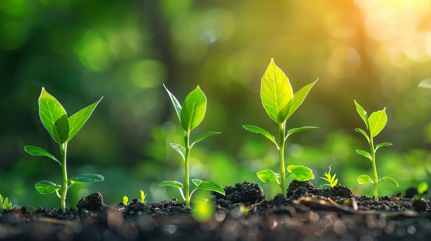 The Role of Venture Capital in Scaling High-Growth Businesses