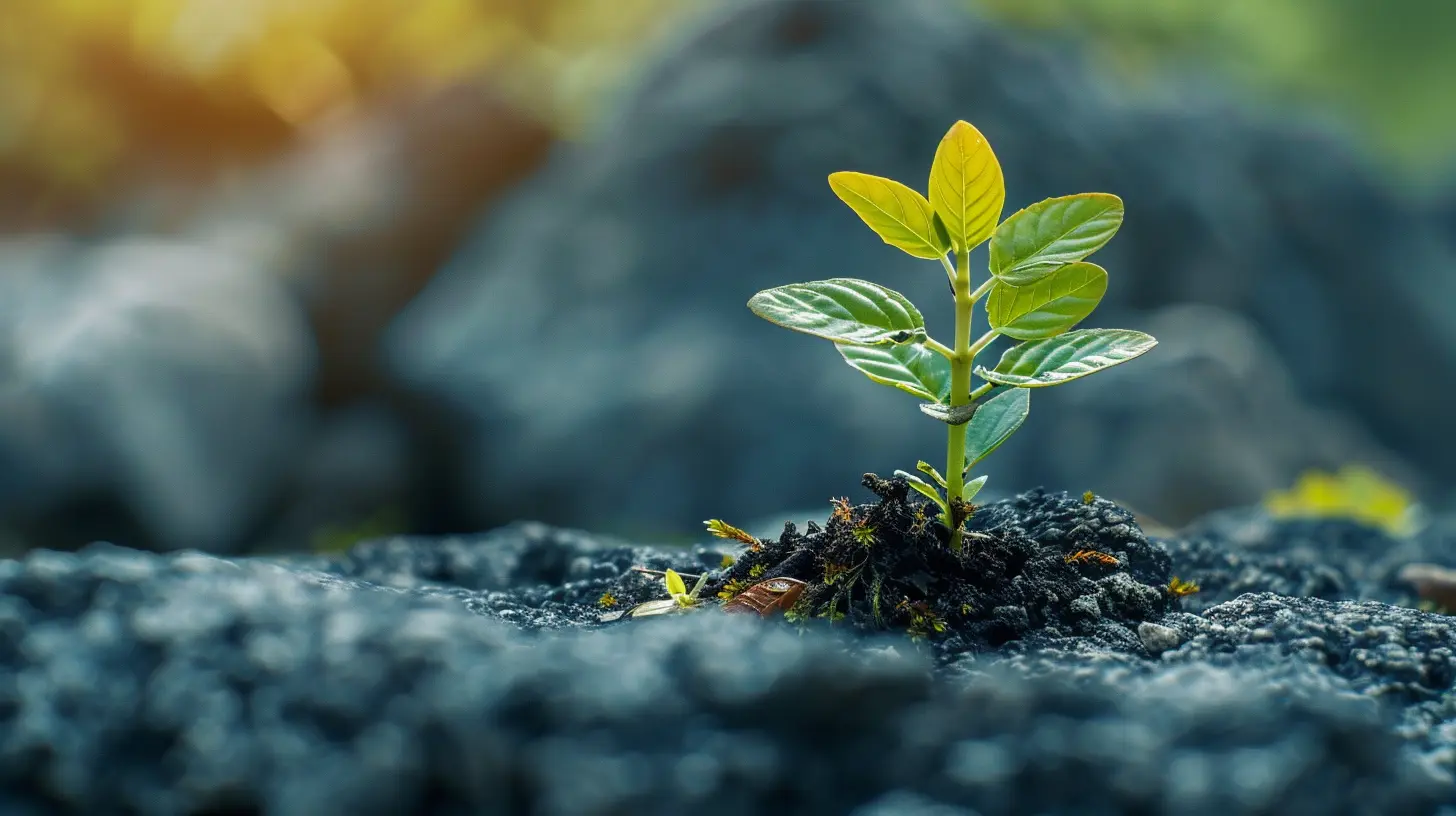 The Role of Venture Capital in Scaling High-Growth Businesses