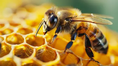 Building a Buzz: Tactics for Generating Excitement Pre-Launch