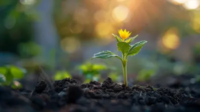 Building a Strong Financial Foundation in Your Plan