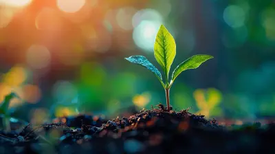 How to Build a Resilient Startup Culture to Attract Investors