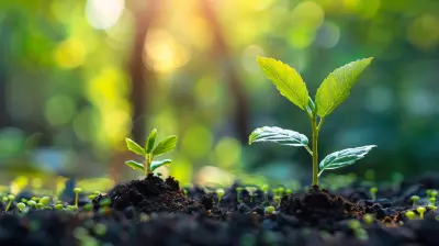 Long-Term vs. Short-Term Cost Saving Measures