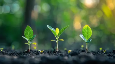 The Investor Perspective: What They Look for in Startups