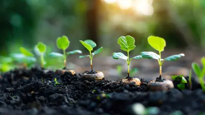 When and Why Startups Should Pivot: A Venture Capital Perspective