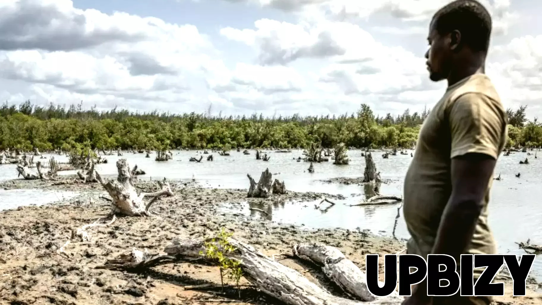 Evaluating Business School Research: The Role of Citations