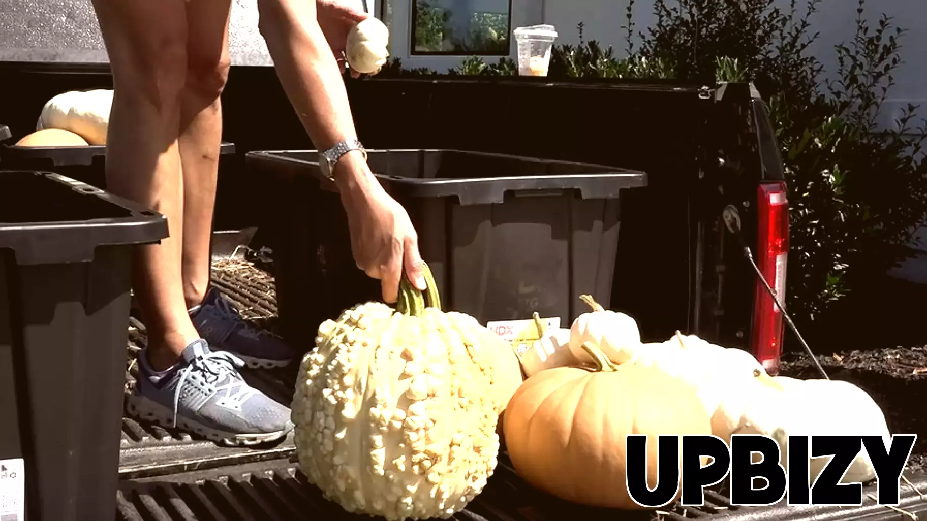 Fall Brings Surge in Demand for Porch Decorating Services