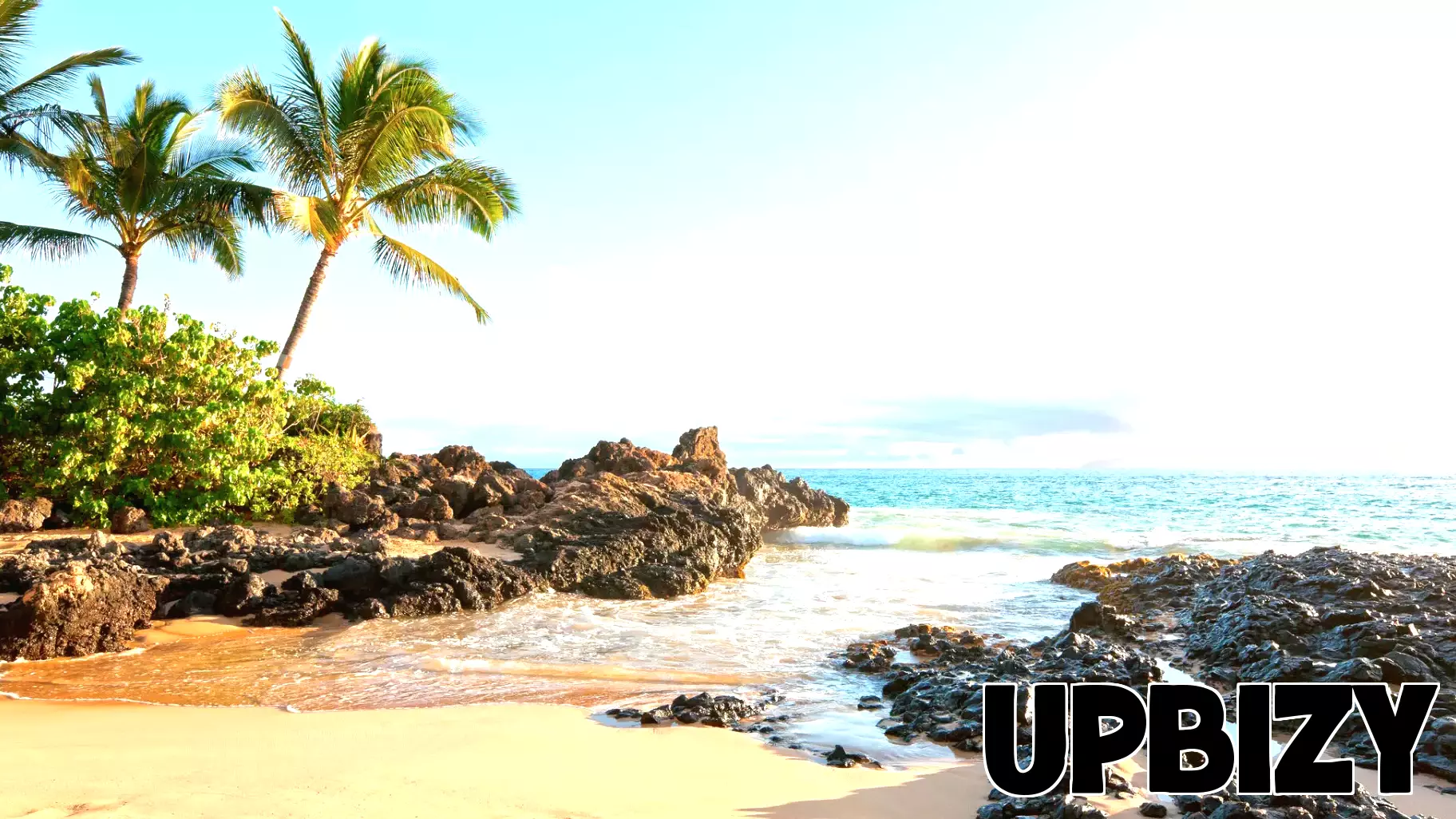 Hawaii Businesses Face Challenges as Tourist Numbers Drop