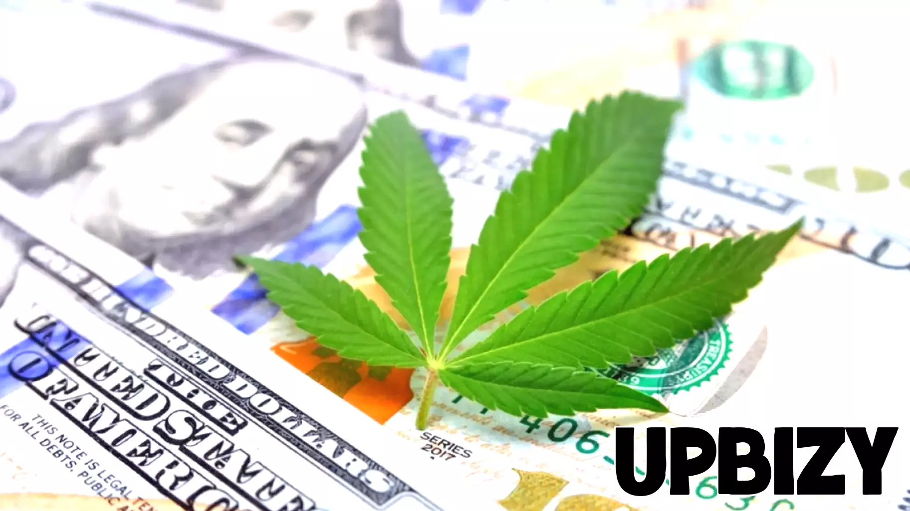 Springfield Weighs Using Cannabis Tax Money for Small Business Grants