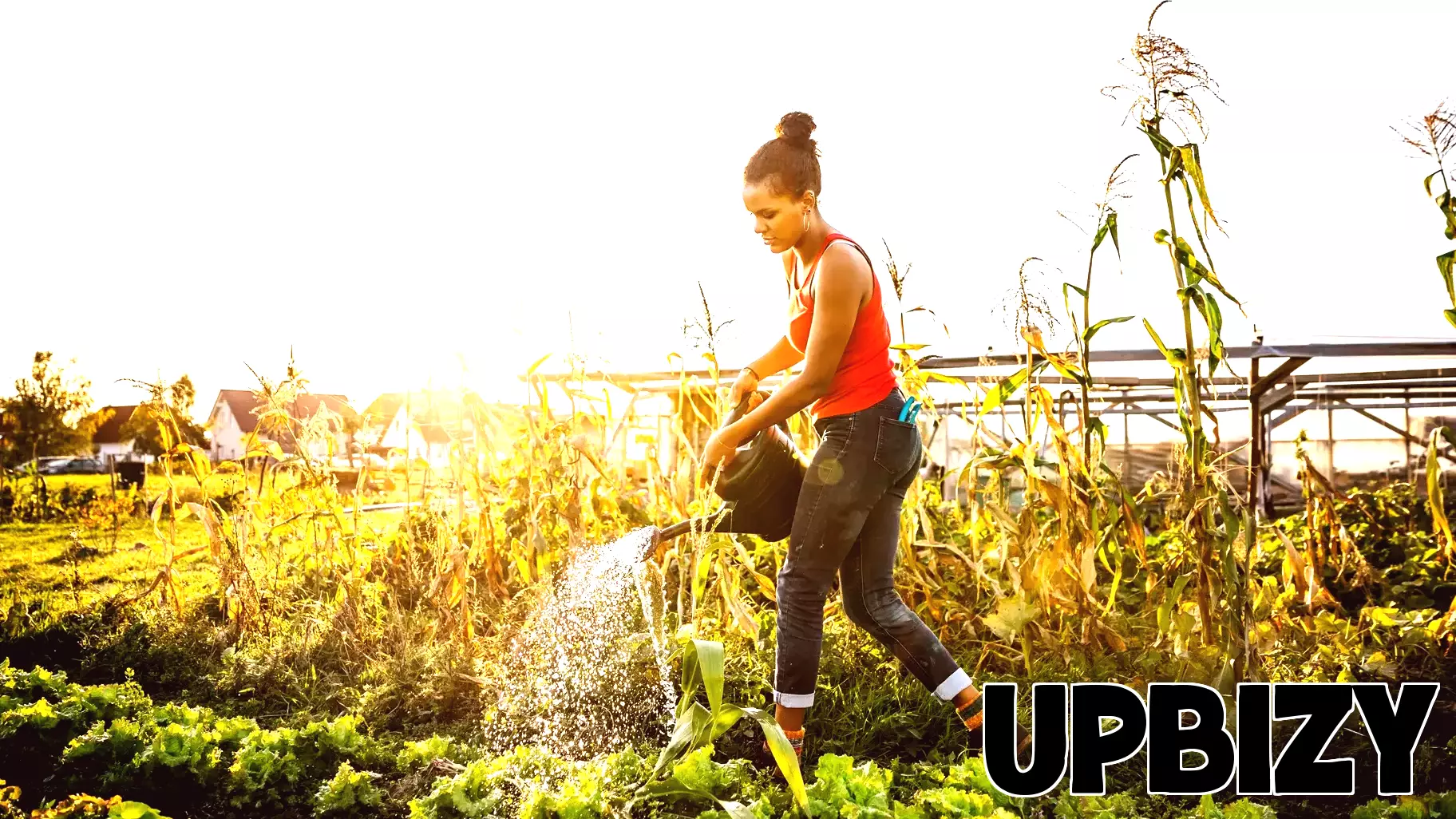 Valuable Business Insights Drawn from Gardening