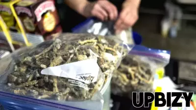 Church in Big Bear Allegedly Serves as Base for Illegal Psychedelic Mushroom Operation