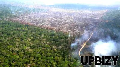 Europe's Simplification Agenda Leaves Businesses Frustrated