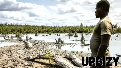 Evaluating Business School Research: The Role of Citations