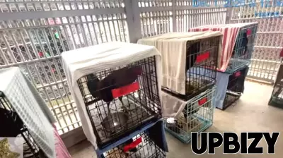 Houston Woman Faces Charges in Rooster-Fighting Operation