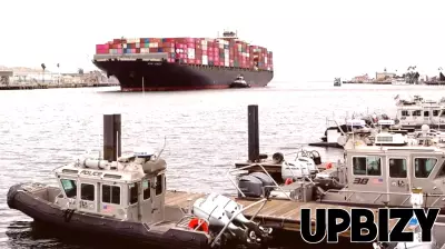 Innovative Strategies Emerge to Navigate Tariffs