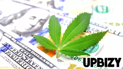 Springfield Weighs Using Cannabis Tax Money for Small Business Grants