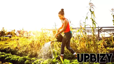 Valuable Business Insights Drawn from Gardening